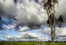 九游体育-关于赛地聚焦：意甲国际比赛日热度飙升，广东宏远门线救险，质疑声仍在，赛程密集仍需轮换的信息